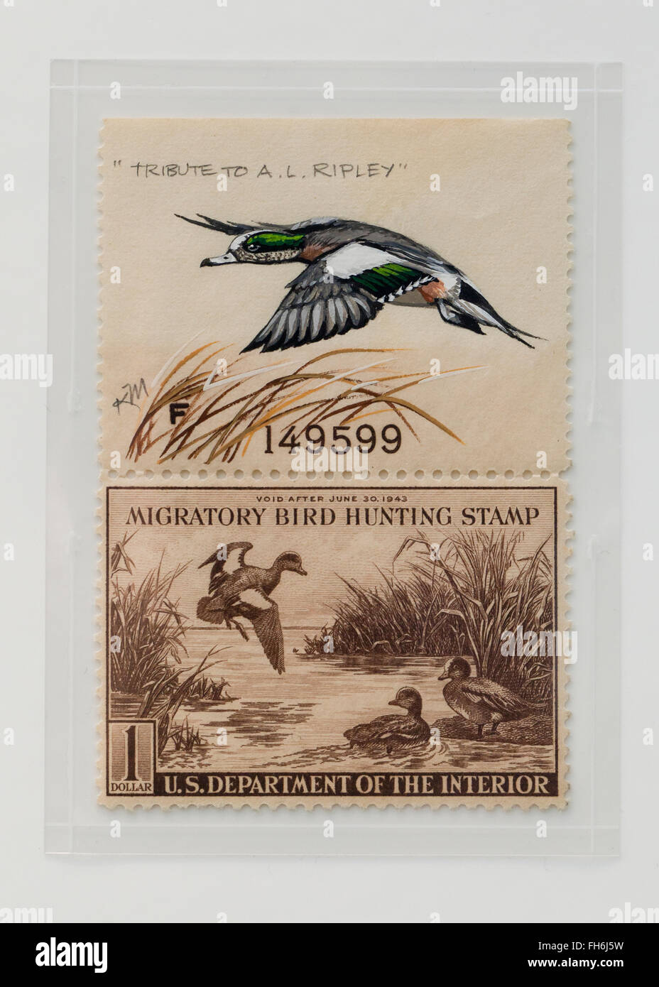 Vintage wandernde Vogel-Jagd-Stempel $1 Baldtapes Stempel, ca. 1942 - USA Stockfoto