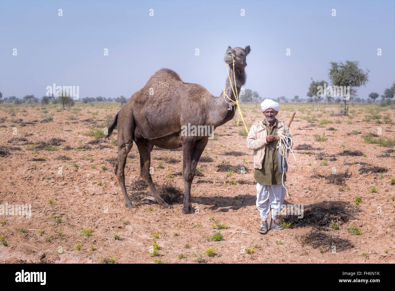 Kamel mit Kamel Mann in Jaisalmer; Rajasthan; Indien; Asien; Stockfoto