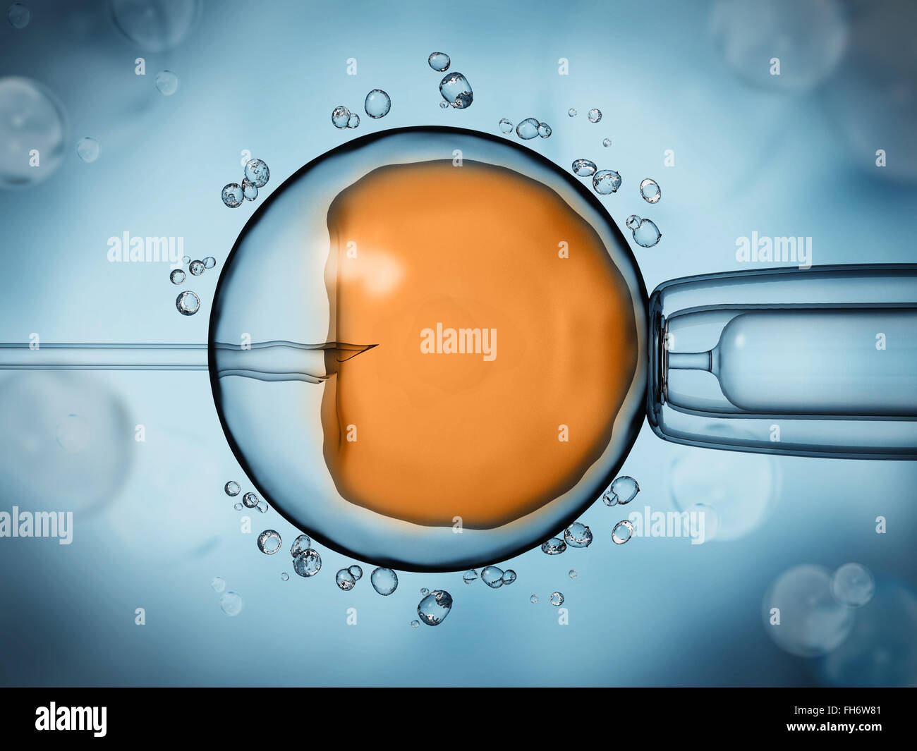 Künstliche Befruchtung-Darstellung, die das Ovulum auf blauem Hintergrund Stockfoto