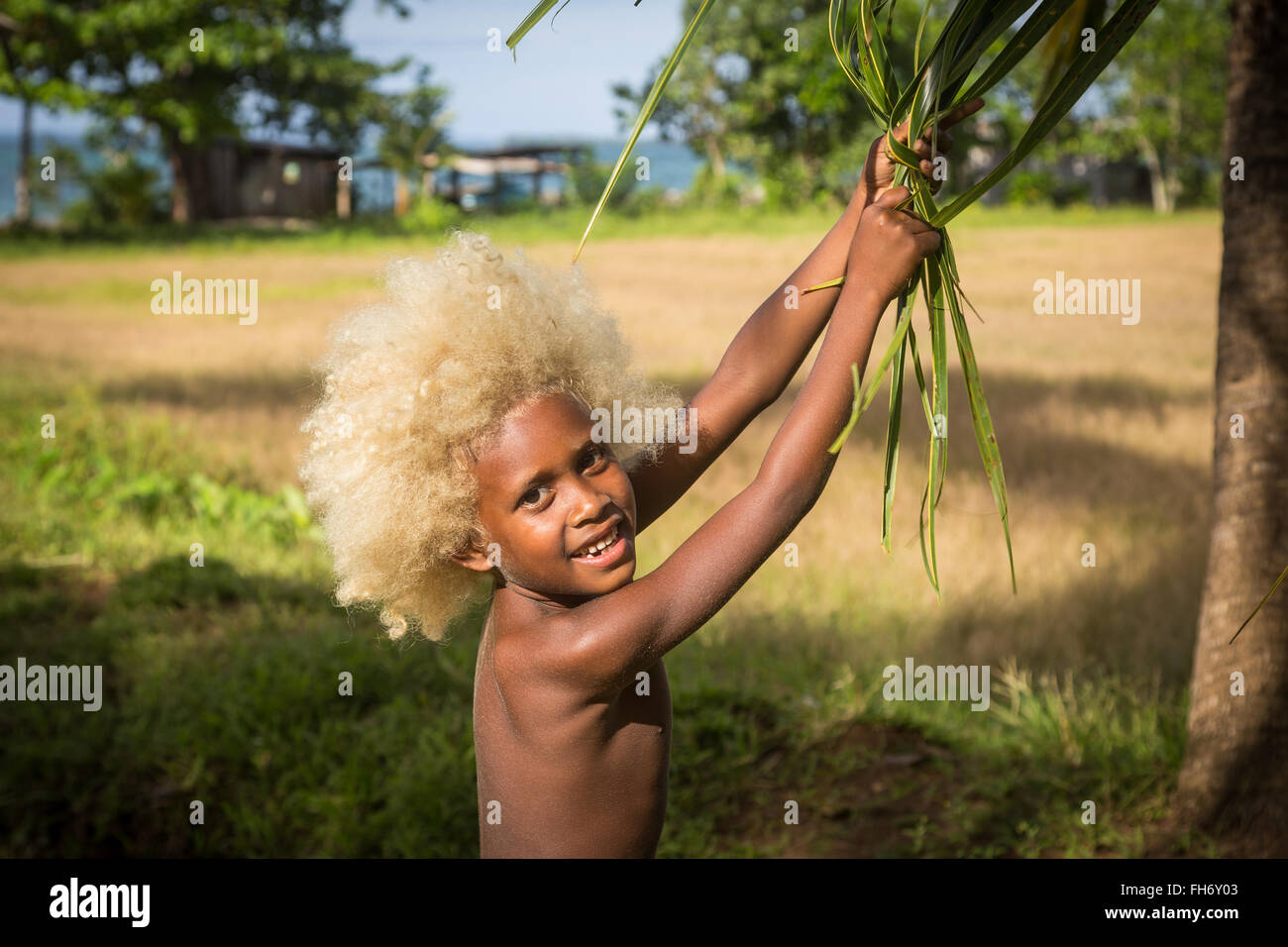 Chea Dorf, Salomonen - 15. Juni 2015: ein Junge mit blonden Haaren und Hautfarbe zu schwingen, mit den Blättern eines Baumes. Stockfoto