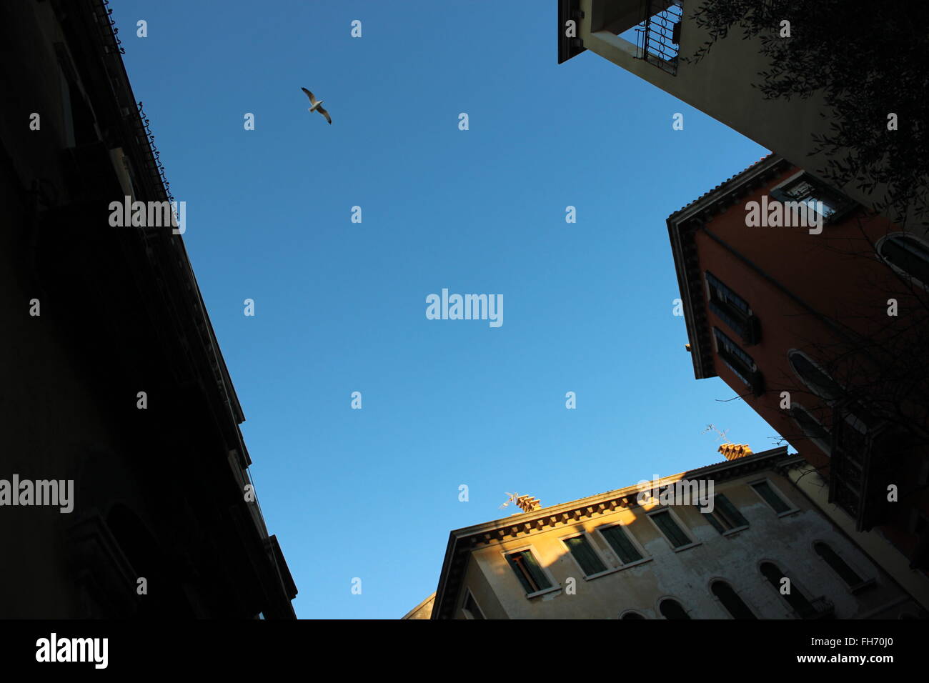 Suchen Sie den Himmel Stockfoto