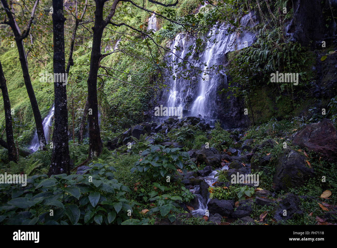 Kleiner Wasserfall und tropischen Vegetation am Anse des Cascades in Piton Sainte-Rose, Reunion, Afrika Stockfoto