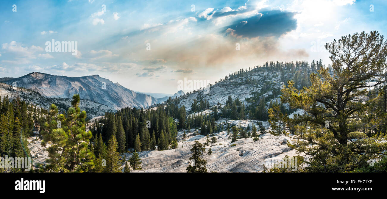 Blick in die High Sierra, Olmsted Point, Yosemite-Nationalpark, Kalifornien, USA Stockfoto