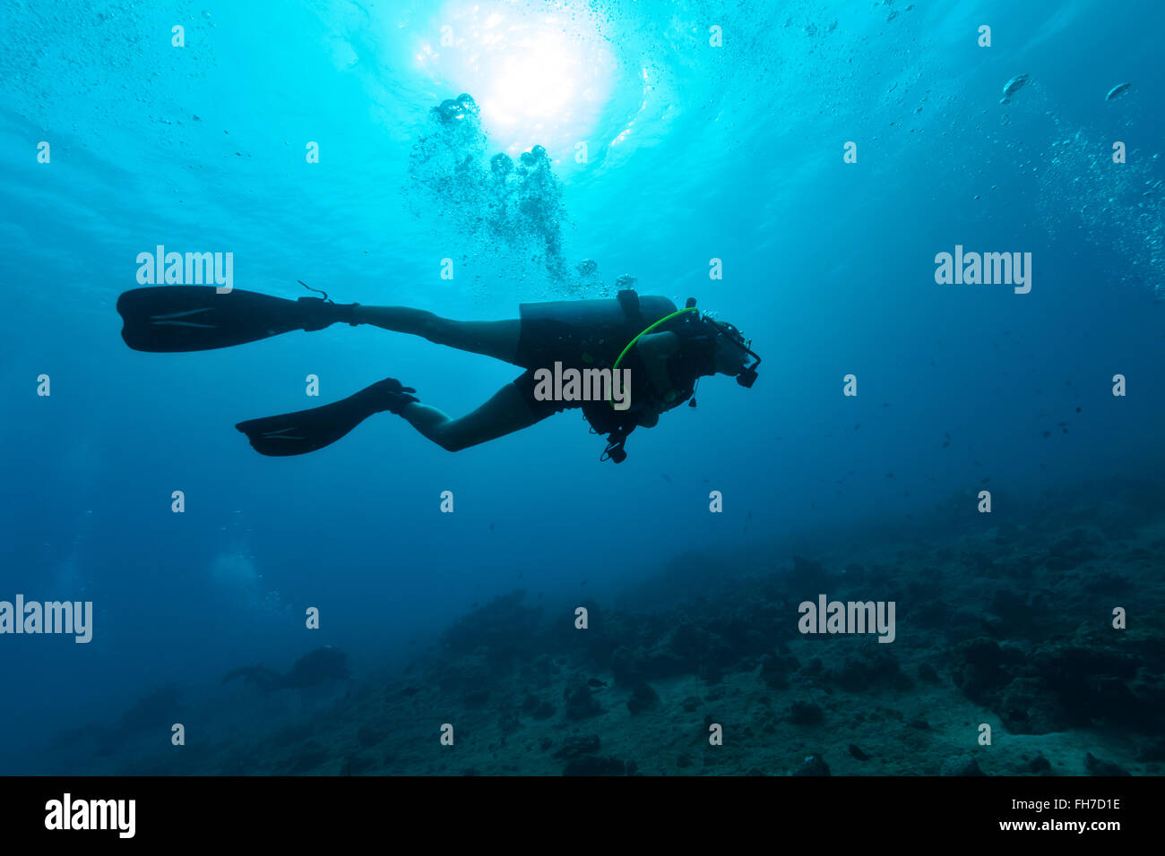 Silhouette der weiblichen Taucher unter Wasser Stockfoto