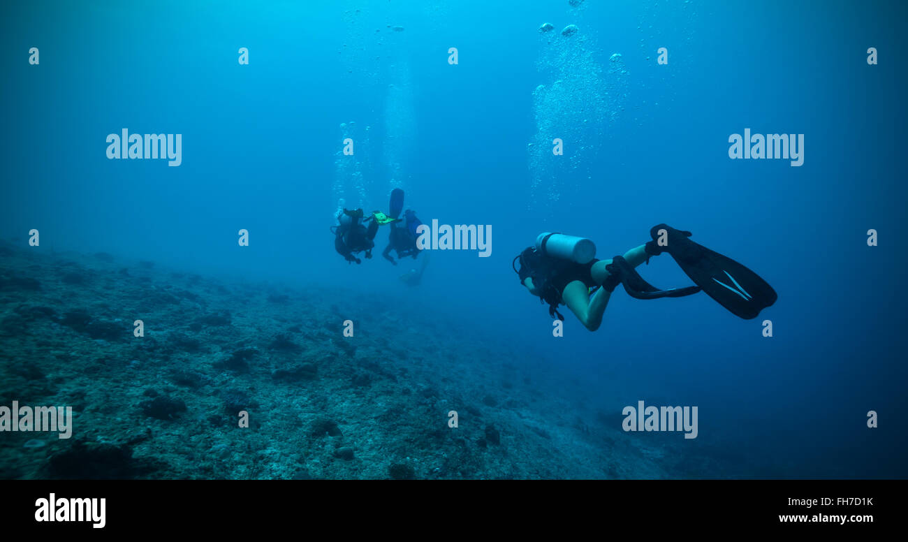 Gruppe von Tauchern unter Wasser Stockfoto