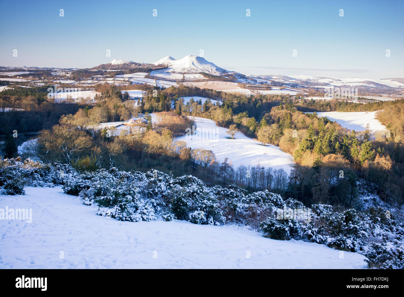 Scotts View in der Nähe von Melrose mit Blick auf den Fluss Tweed und der Eildon Hills im Winter Schnee. Scottish Borders. Schottland Stockfoto
