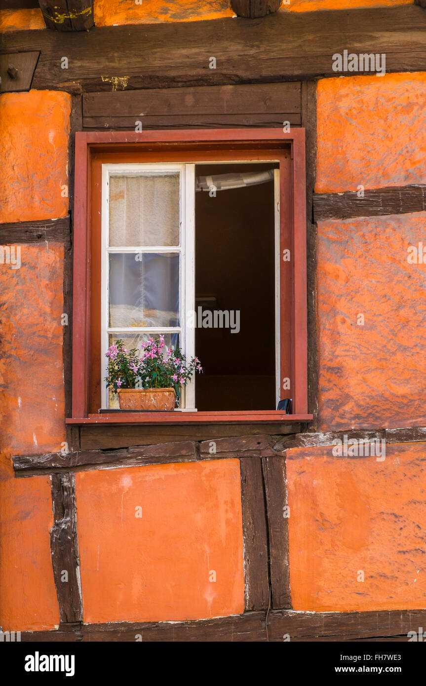 Blumentopf auf der Fensterbank eines Fensters an der Fassade des halb Fachwerkhaus Stockfoto
