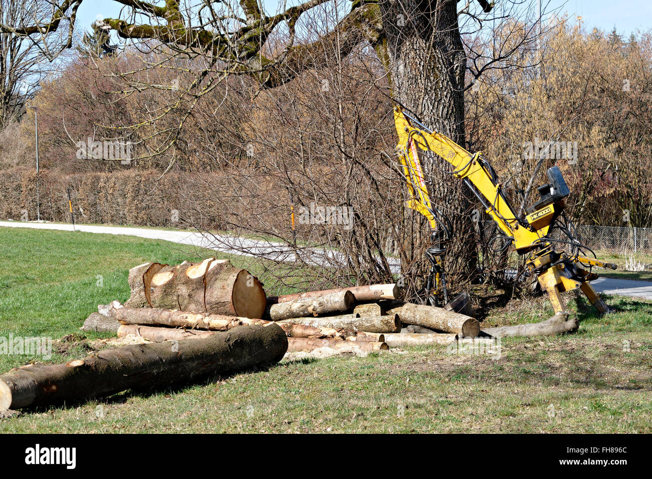 Griesser hinten Dreipunkt-Kran Hk 4000 Protokolle Holz unter Eiche, Chiemgau, Oberbayern, Deutschland, Stockfoto