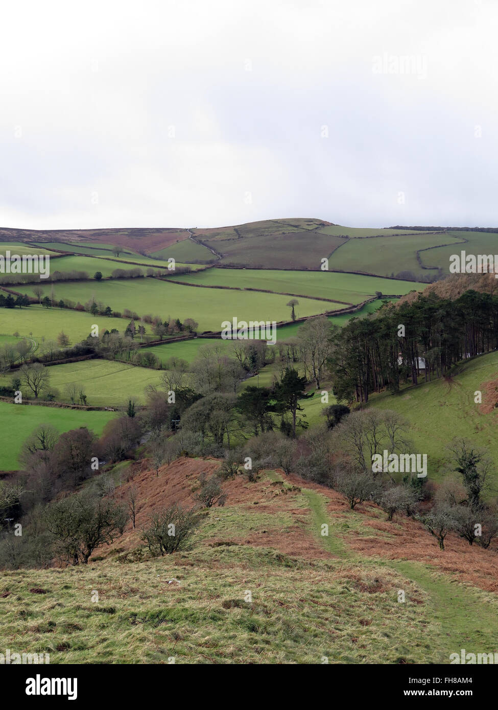 Exmoor: in der Nähe von 'Doone Valley' Stockfoto