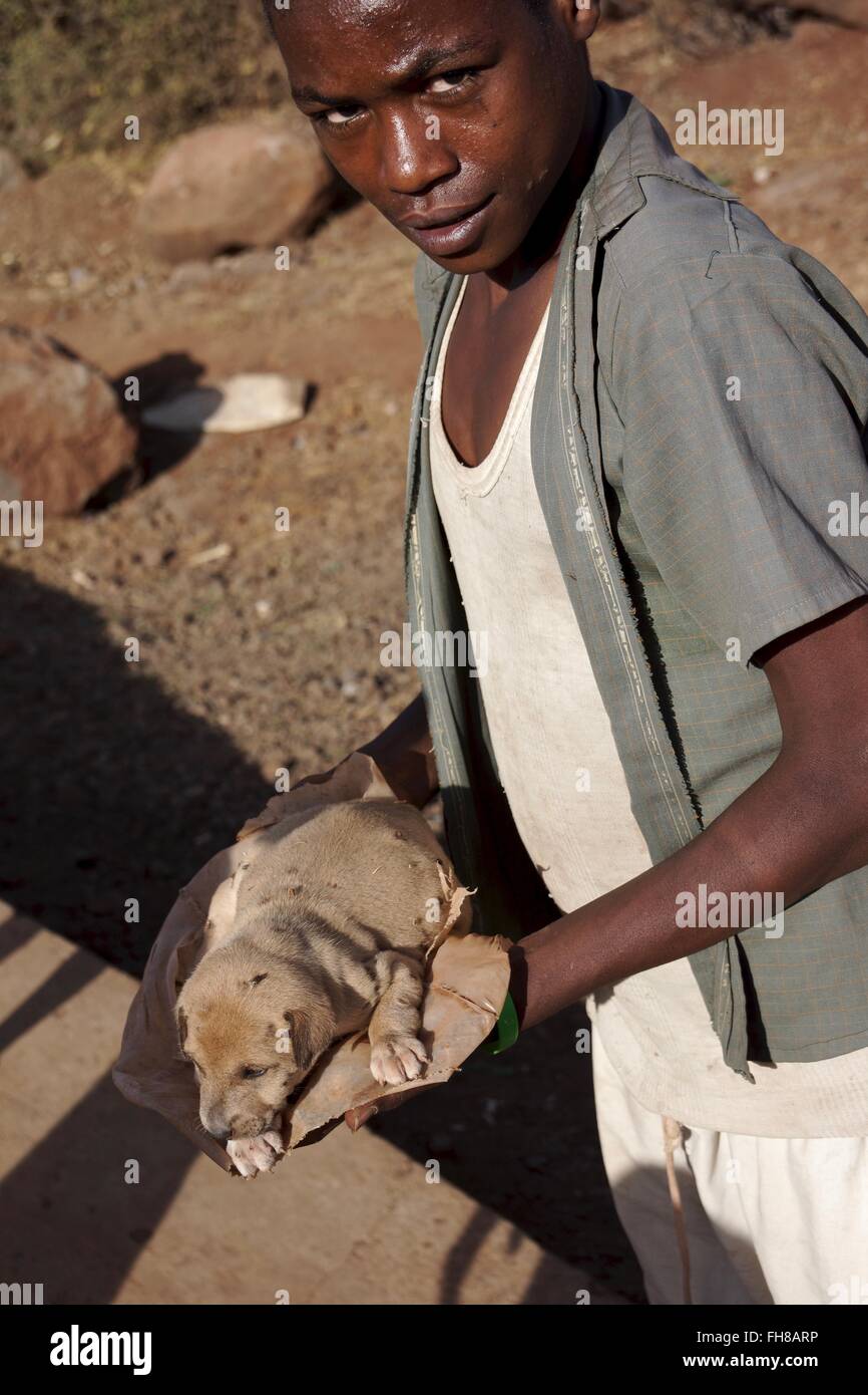 Ein schlecht Welpe in Äthiopien Stockfoto