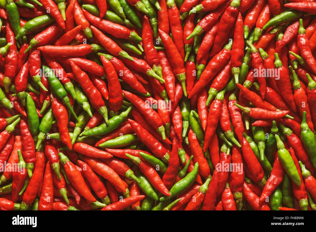 Rote und grüne Paprika über flache Oberfläche. Stockfoto