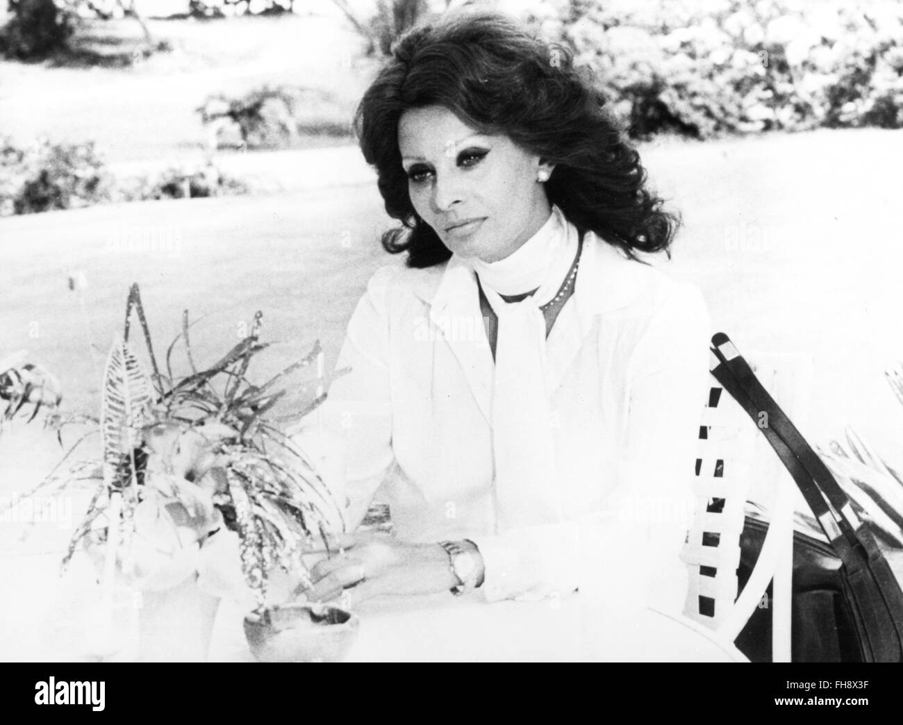 Film, 'Feuerkraft', GBR 1979, Regie: Michael Winner, Szene mit: Sophia Loren, Fremdhersteller - Permissions-Neccessary Stockfoto