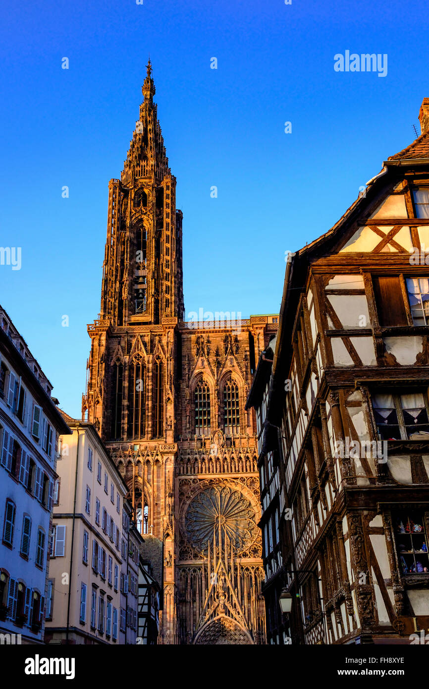 Notre-Dame gotische Kathedrale des 14. Jahrhunderts bei Sonnenuntergang, Straßburg, Elsass, Frankreich Stockfoto