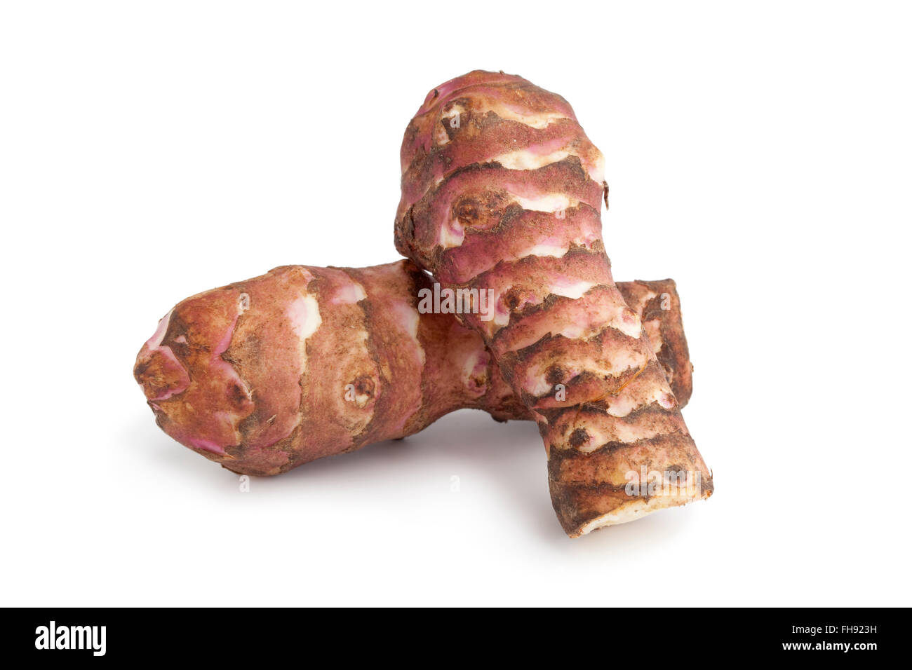 Frisches rohes Topinambur auf weißem Hintergrund Stockfoto