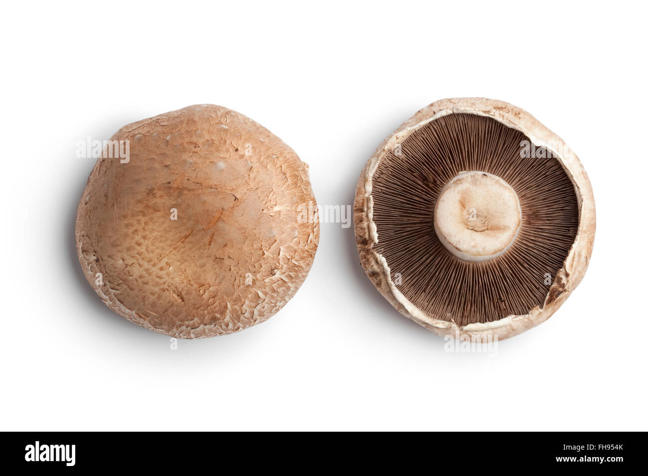 Frische rohe Portobello-Pilze isoliert auf weißem Hintergrund Stockfoto