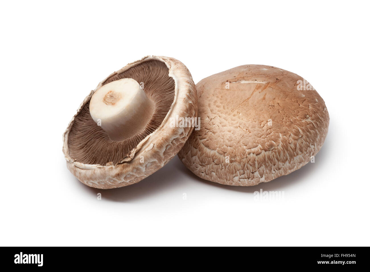 Frisches rohes Portobello Pilze isolierten auf weißen Hintergrund Stockfoto