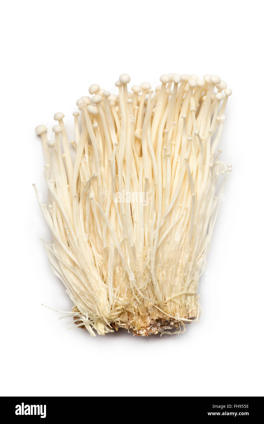Frisches rohes Enoki-Pilze auf weißem Hintergrund Stockfoto