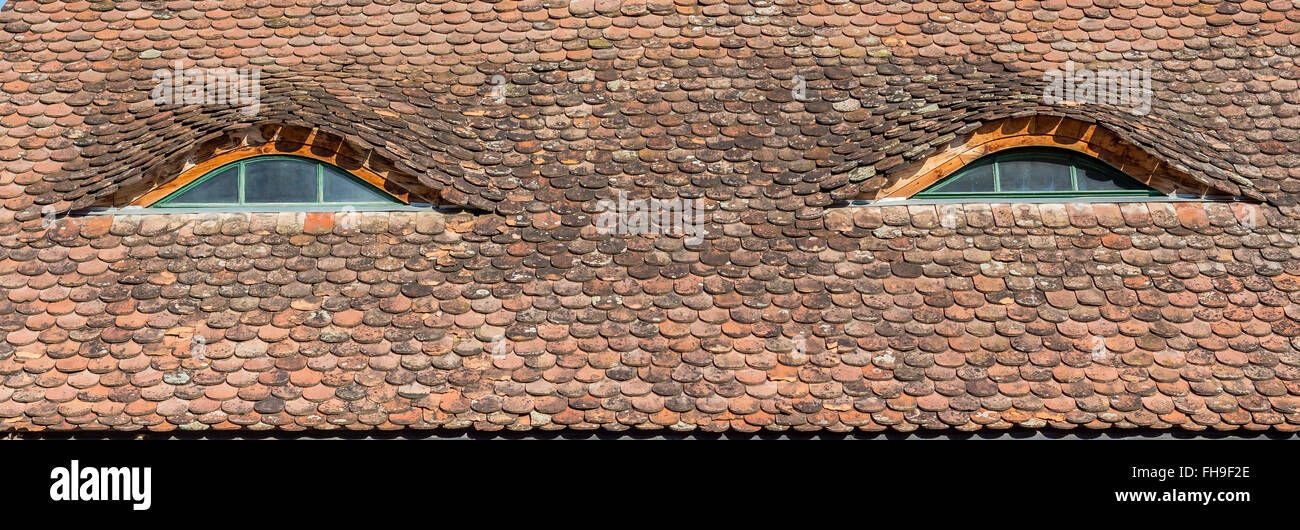 Typische Siebenbürger Sachsen auf dem Dach mit Augen Stockfoto
