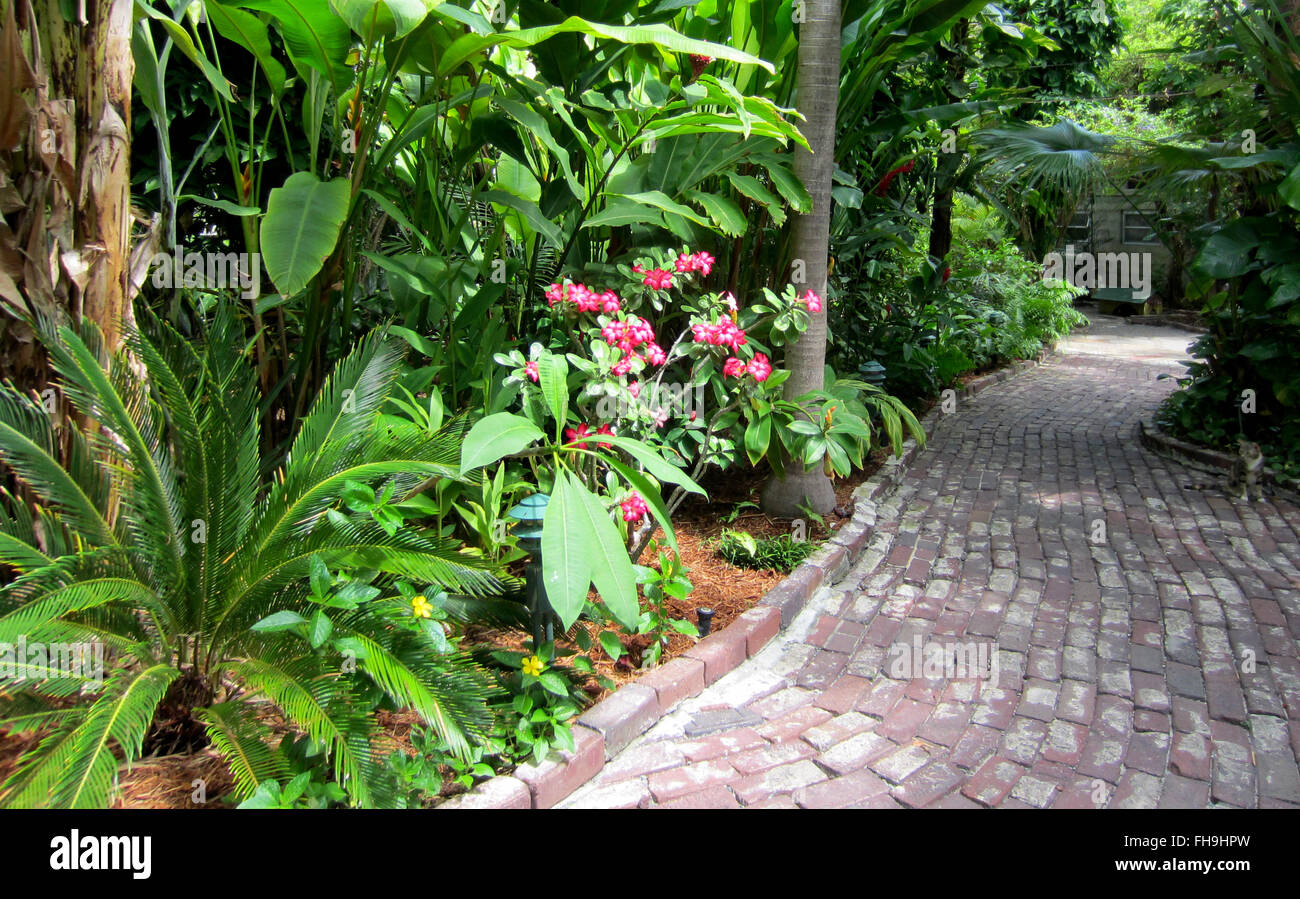 Fuß Weg schlängelt sich durch die Gärten an der Hemingway-Haus und Museum in Key West, Florida. Stockfoto