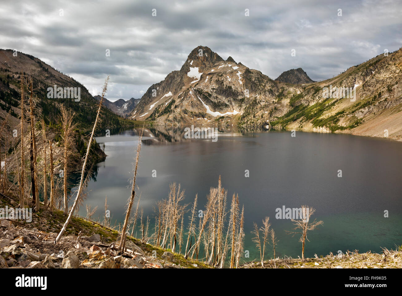 IDAHO - Ghost Bäume verlassen, nachdem ein Feuer den Hang oberhalb Sawtooth See von McGown Seenweg in Sawtooth Wilderness Area fegte Stockfoto