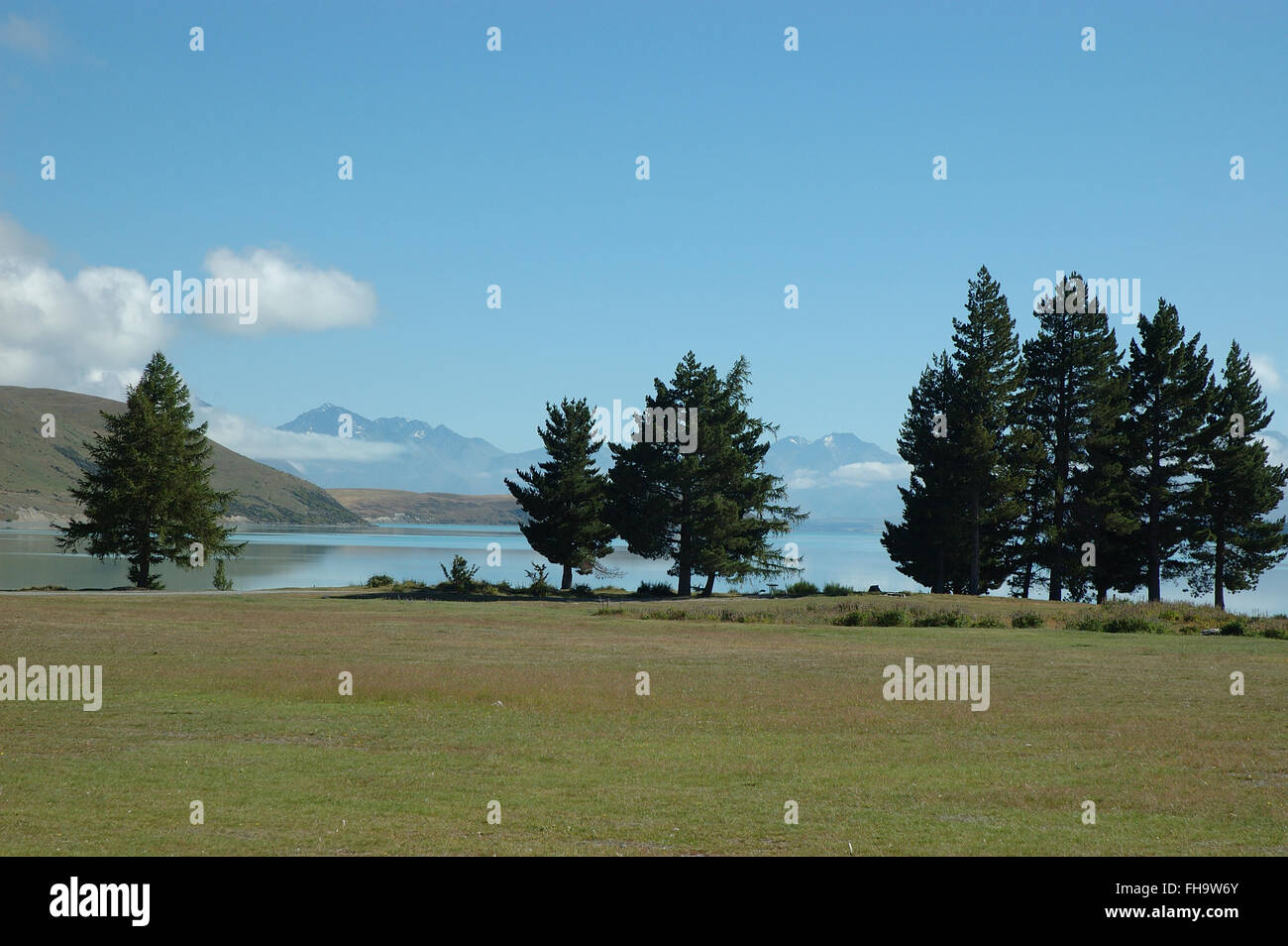 Lake Tekapo, Canterbury, Mackenzie Country, Südinsel, Neuseeland Stockfoto