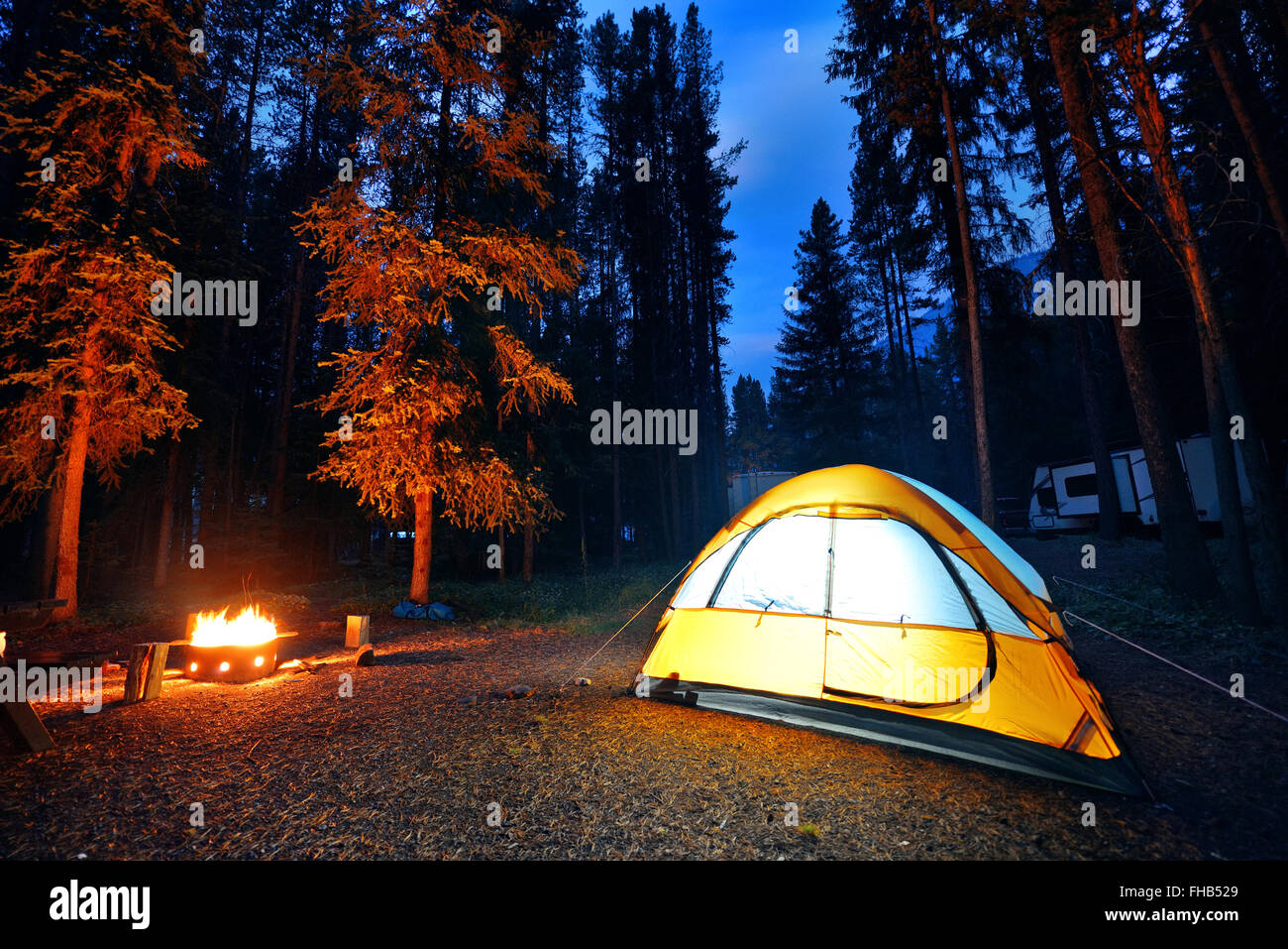 Camping im Wald mit Zelt Licht und Feuer im Banff National Park  Stockfotografie - Alamy