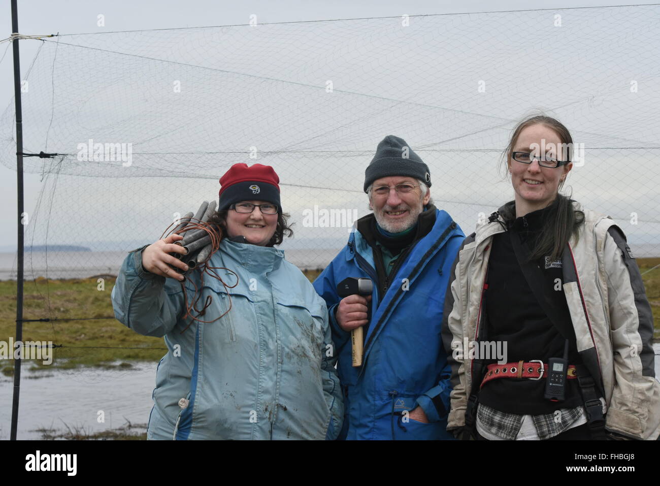 Wales, Vereinigtes Königreich. 22. Februar 2016. Wissenschaftler forschen in Newport Feuchtgebiete auf Lokale Vogelarten, die Auswirkungen durch neue M4-Straße werden. Stockfoto