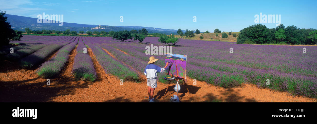 Panorama-Aufnahme der Künstlerin Malerei Feld von Lavendel in der Provence Stockfoto