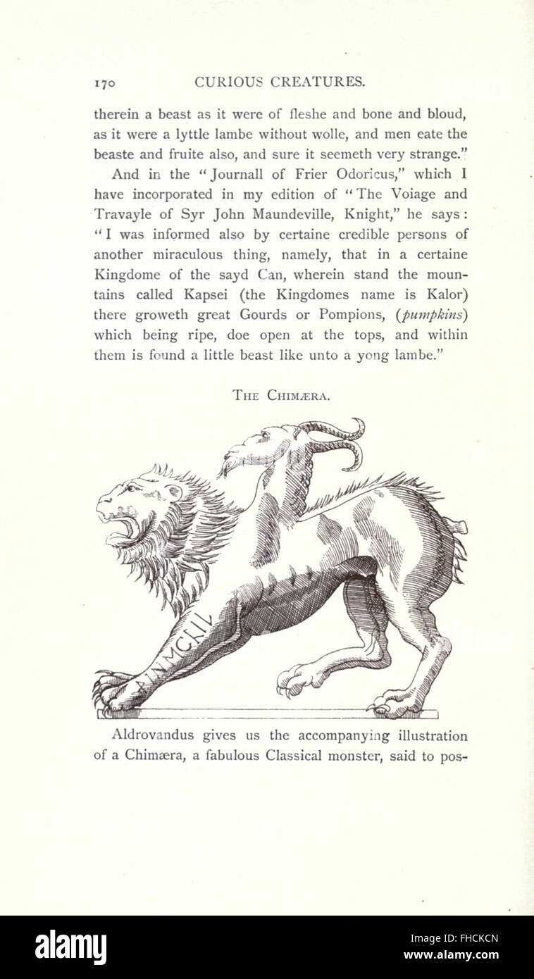 Eine Erkundung ungewöhnlicher und faszinierender Kreaturen auf dem Gebiet der Zoologie mit einer Reihe von Tierarten und ihren einzigartigen Merkmalen. Stockfoto