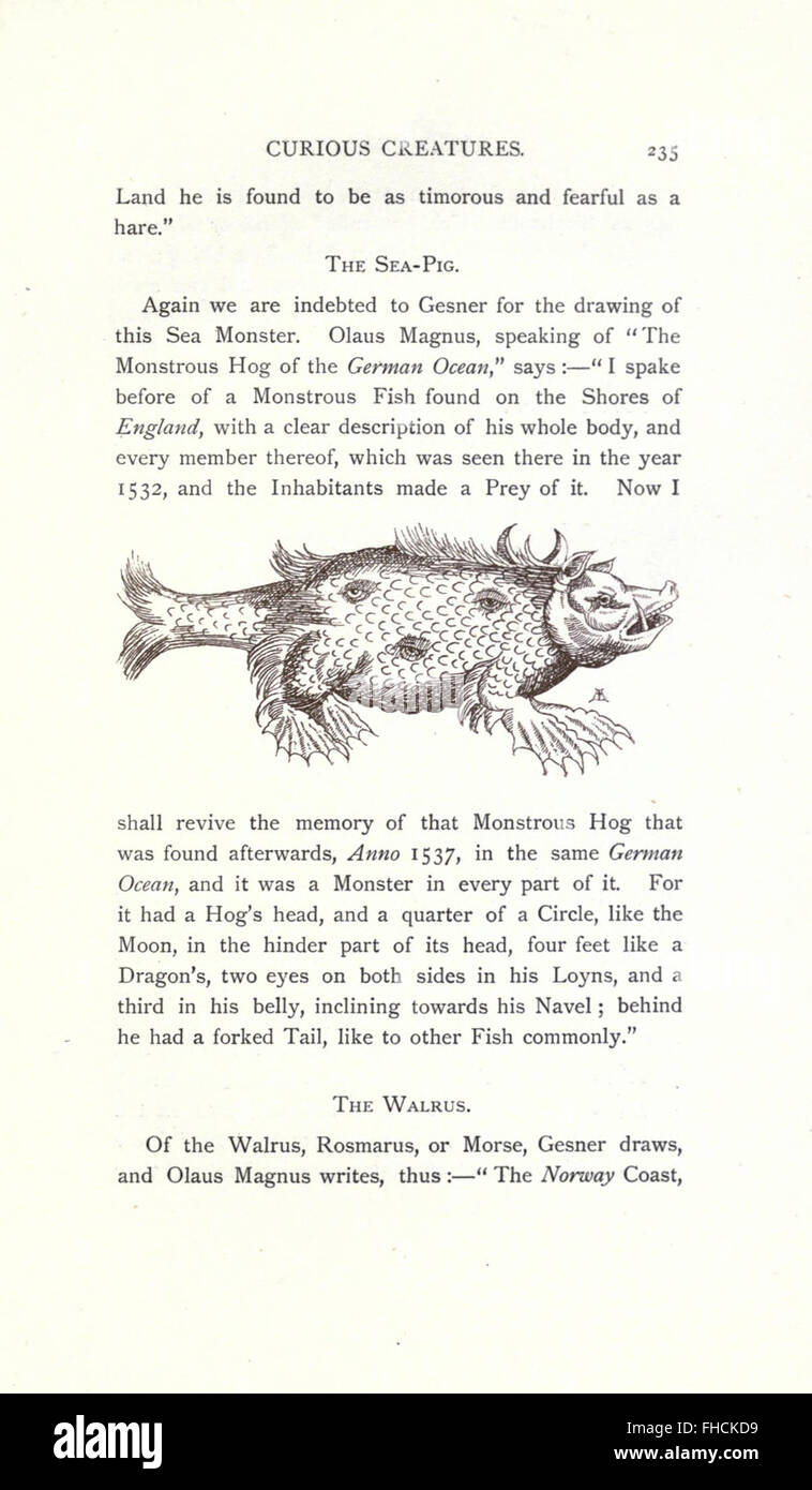 Eine Erkundung einzigartiger und faszinierender Lebewesen im Tierreich, präsentiert durch eine Sammlung zoologischer Studien und Illustrationen. Stockfoto