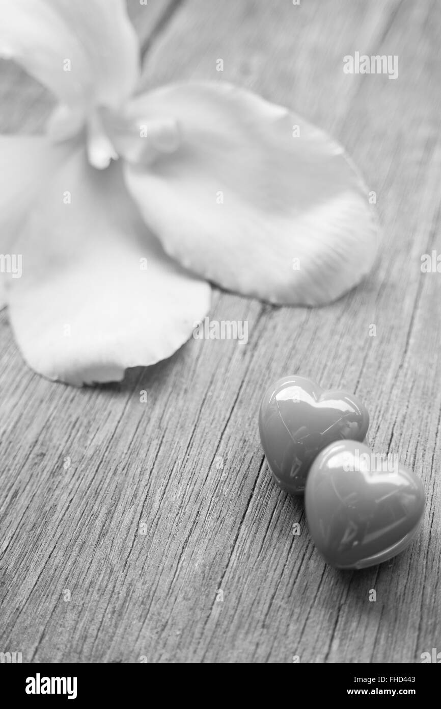 Valentinstag Hintergrund mit roten Herzen und Blumen weiß - schwarz Stockfoto