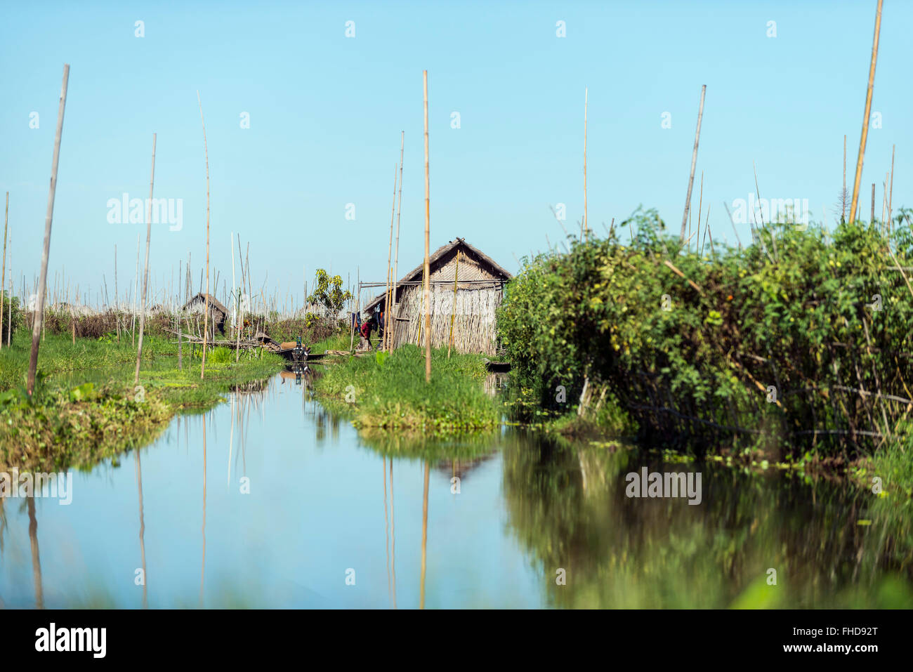 Schwimmenden Gärten. Inle-See, Burma Stockfoto