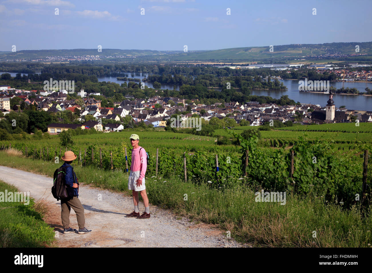 Touristen von Weinbergen und Rhein bei Rüdesheim, Deutschland Stockfoto