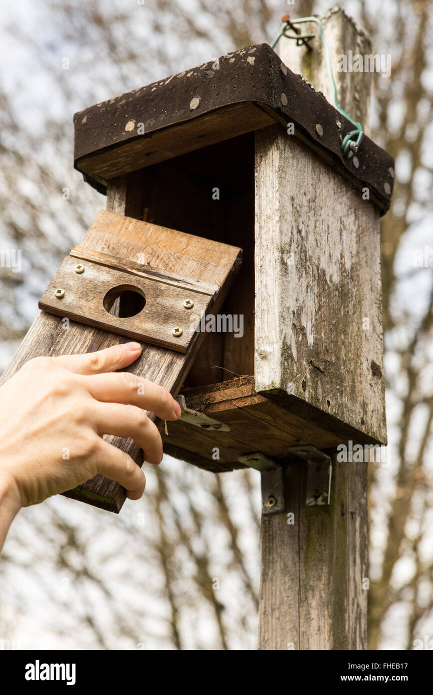 Mann ist ein Vogelhaus, sich in ihm öffnen. Stockfoto