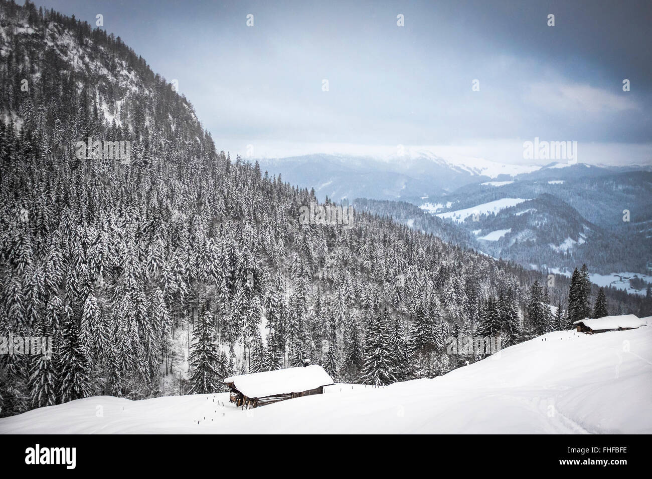 Österreich, Salzburger Land, Heutal, Winterlandschaft Stockfoto