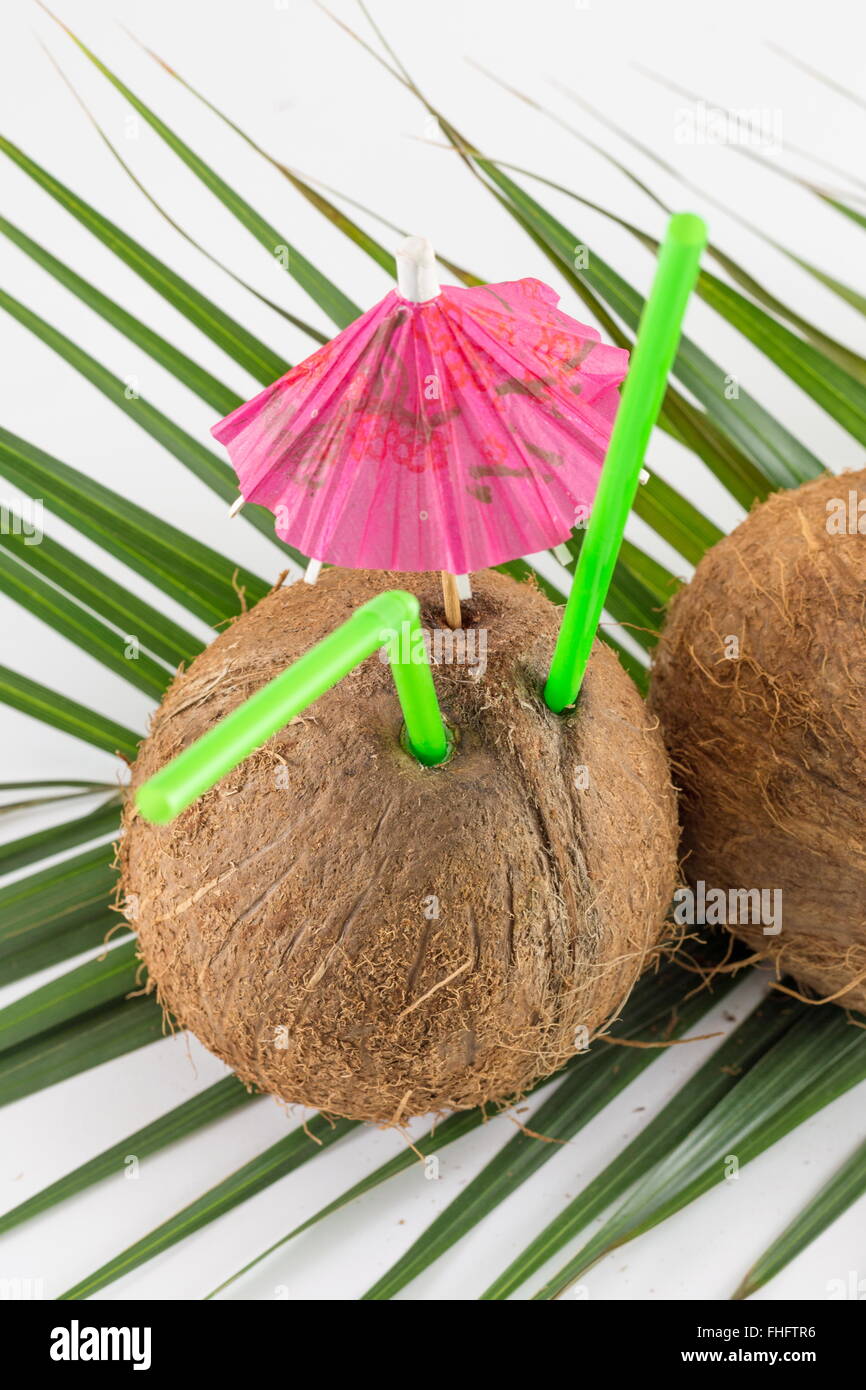 Frische Kokosnuss Cocktails mit cocktail Regenschirm auf Kokosnussblättern platziert Stockfoto
