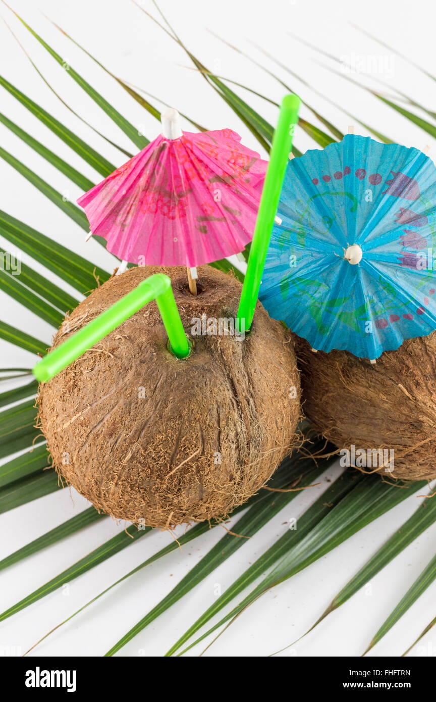 Frische Kokosnuss Cocktails mit Sonnenschirmen auf Kokosnussblättern platziert Stockfoto