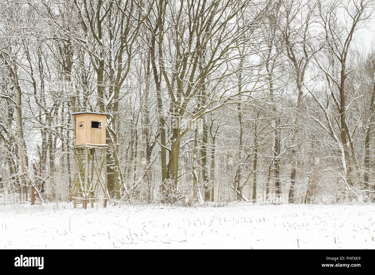 Deutschland, Ansitz am Rande eines schneebedeckten Feldes Stockfoto