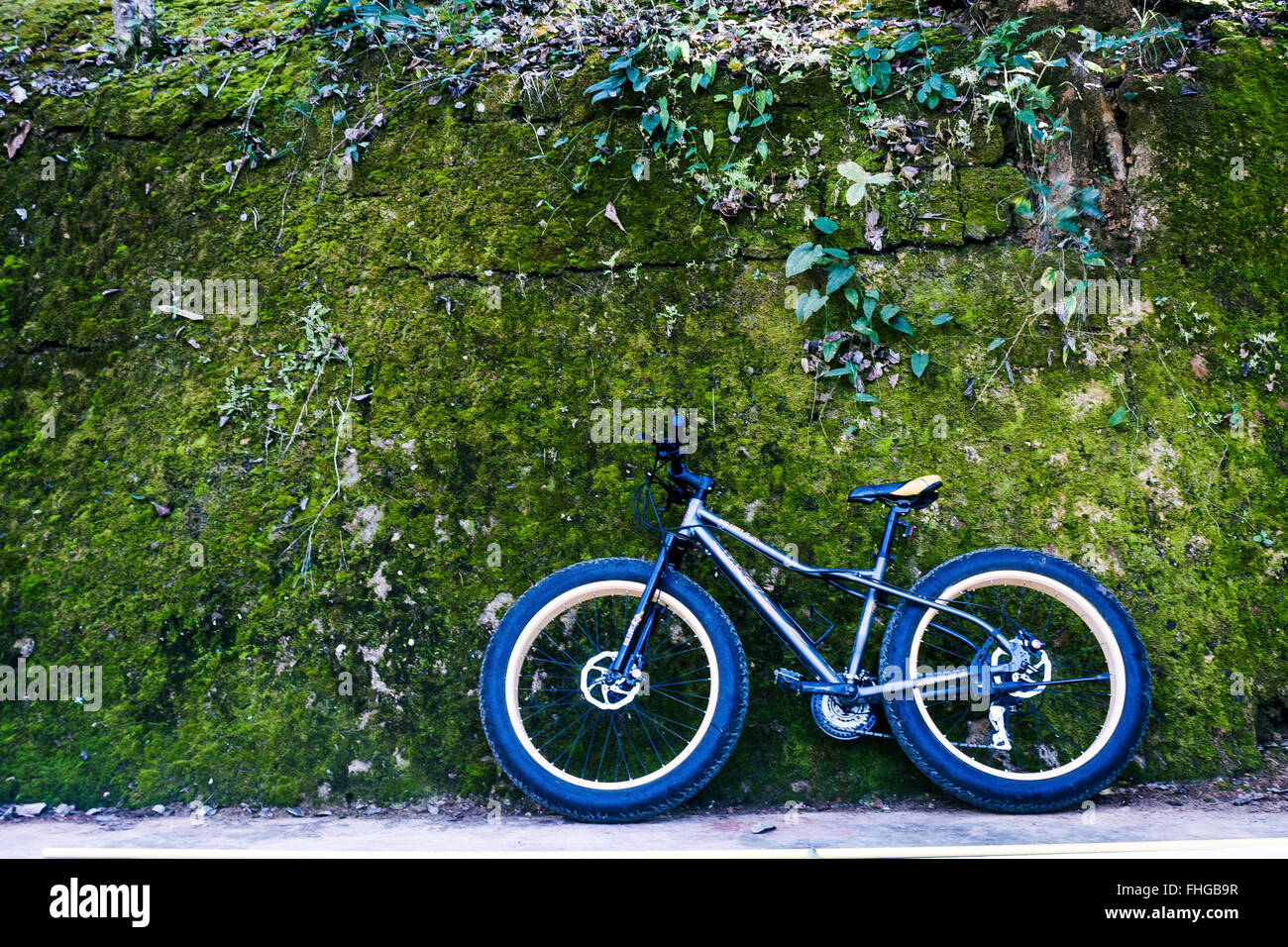 Fahrrad-Parken mit Grün Stockfoto