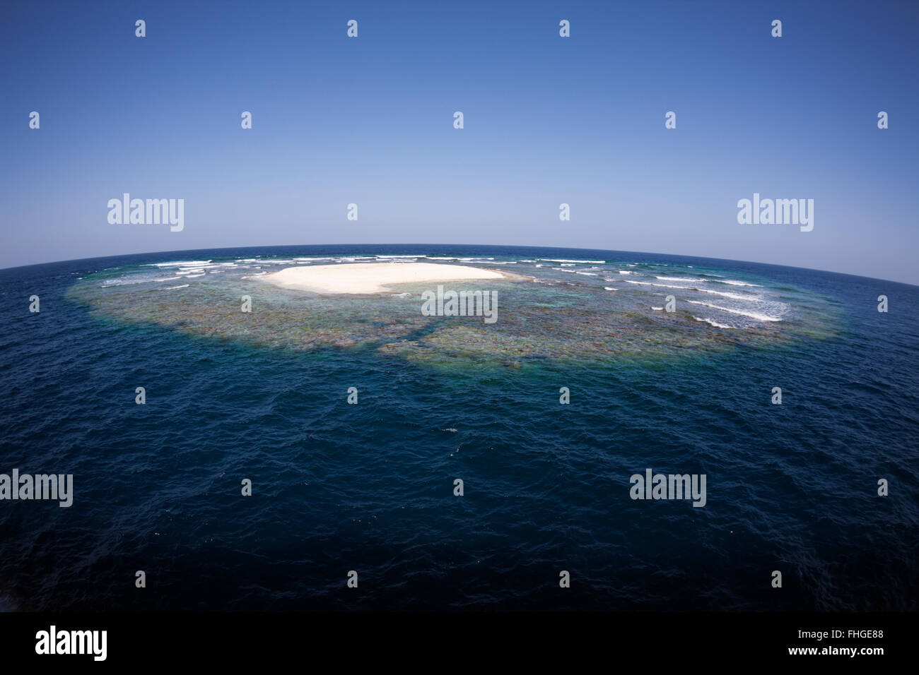 Angarosh Reef, Rotes Meer, Sudan Stockfoto
