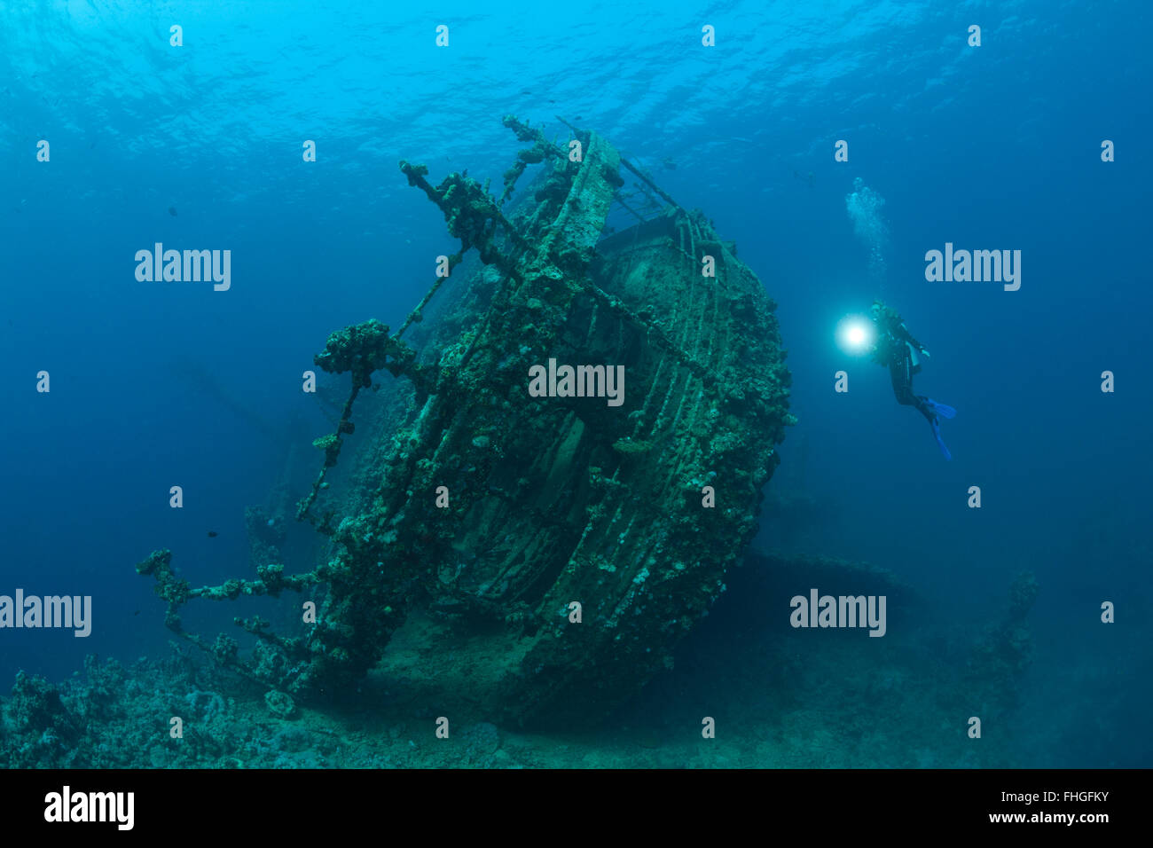 Taucher am Wrack der Umbria, Wingate Reef, Rotes Meer, Sudan Stockfoto