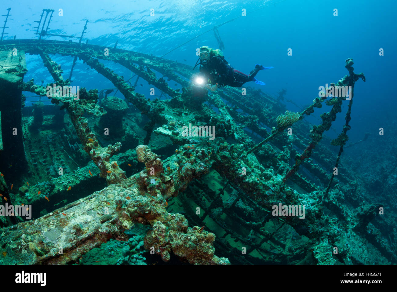 Taucher am Wrack der Umbria, Wingate Reef, Rotes Meer, Sudan Stockfoto