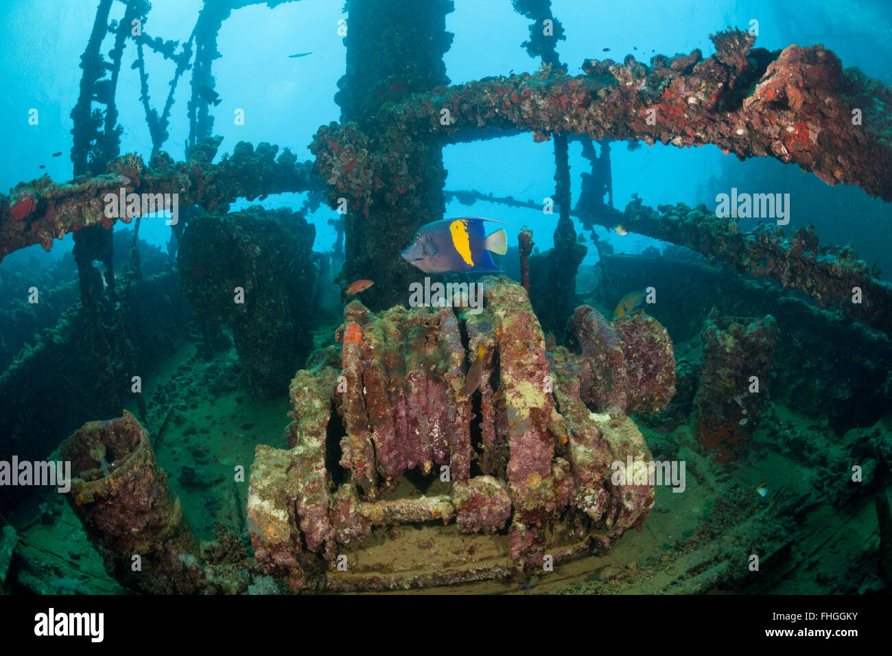 Winde Umbria Wrack, Wingate Reef, Rotes Meer, Sudan Stockfoto