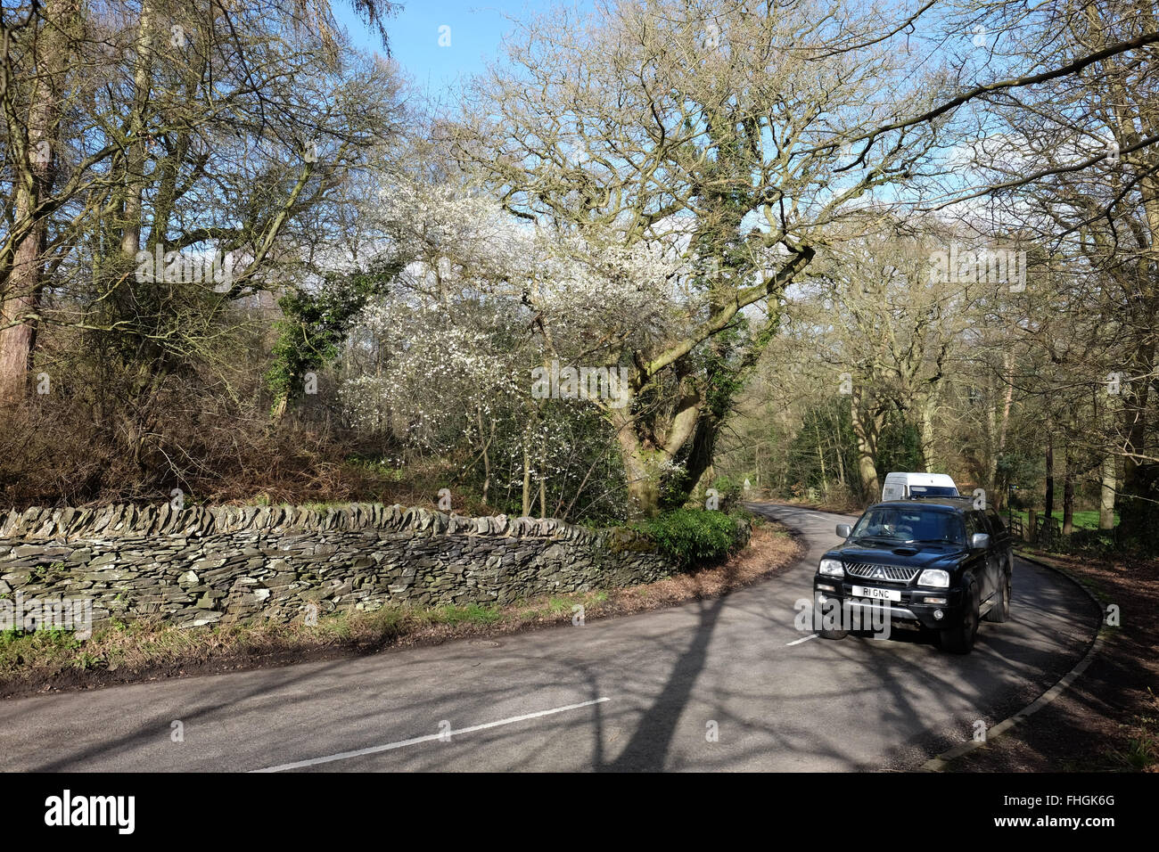 Landstraße in Charnwood Forest leicestershire Stockfoto