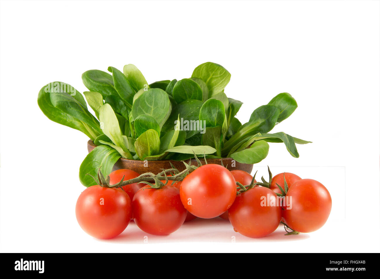 Feldsalat, Valerianella locusta Stockfoto