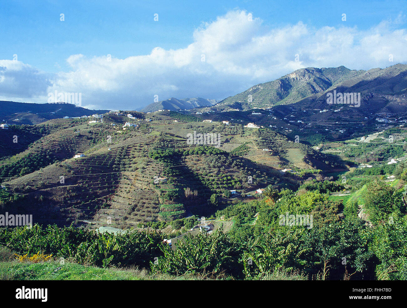 Landschaft. Sierra de Malaga, Provinz Malaga, Andalusien, Spanien. Stockfoto