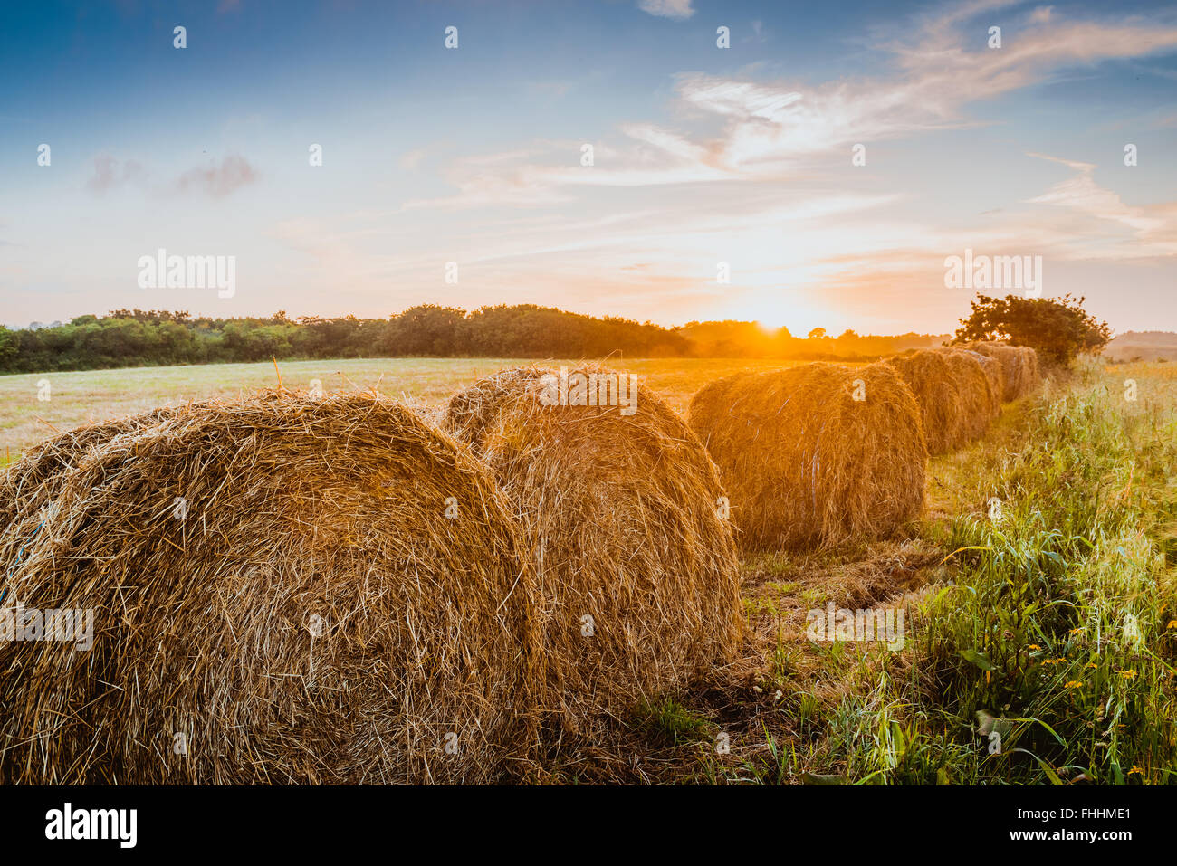 Ernte Konzept Heuhaufen auf Sonnenuntergang Feld, Bretagne, Frankreich Stockfoto