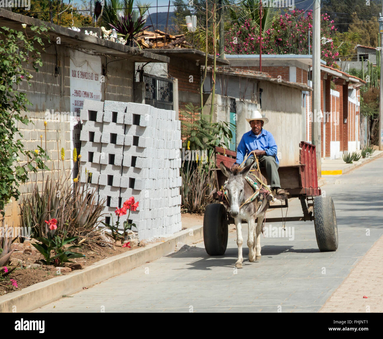 Santa Ana Zegache, Oaxaca, Mexiko - ein Esel zieht einen Karren auf eine Stadt Straße. Stockfoto