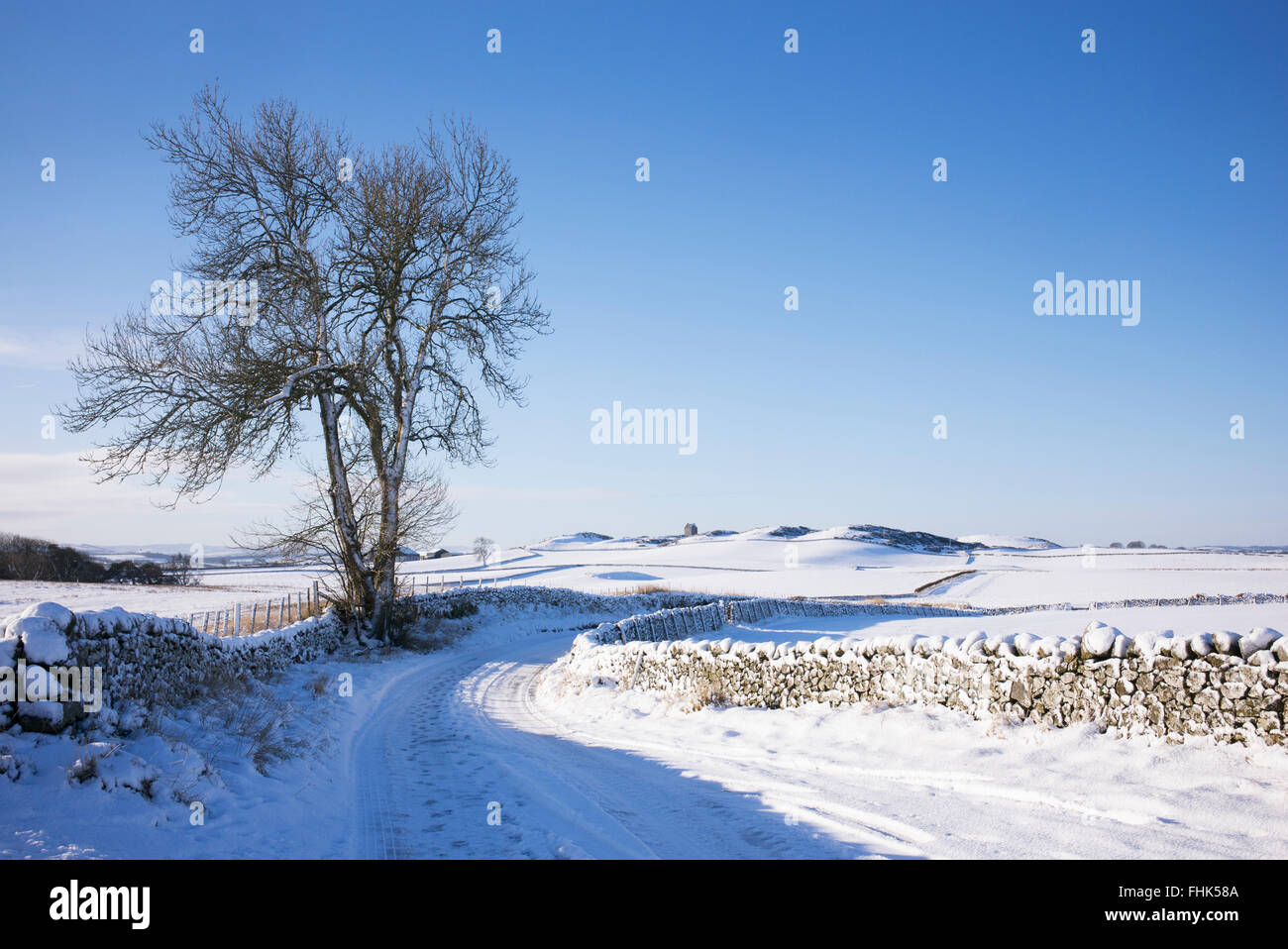 Verschneite Landstraße in den Scottish Borders. Schottland Stockfoto