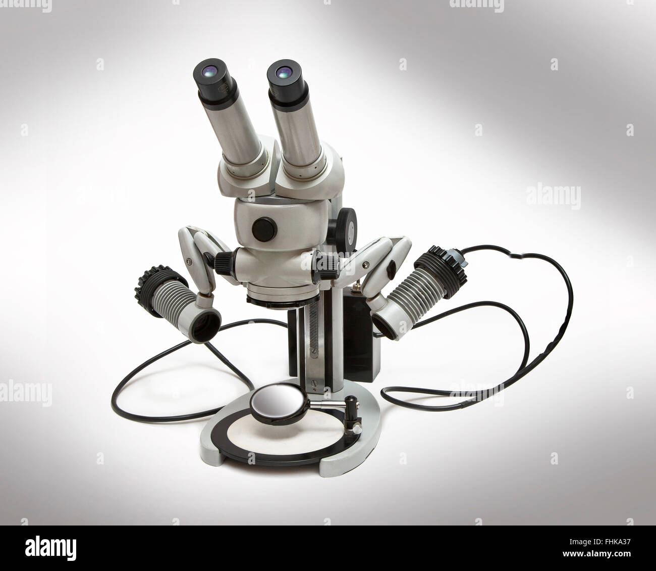 Zeiss Greenough Stereo-Mikroskop, mit Twin-Makro-Beleuchtung. Stockfoto